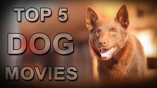 Top 5 Dog Movies That Will Make You Cry Top 5 Dog Movies That Will Make You Cry