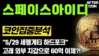 [스페이스아이디 코인] &quot;5/29 세렝게티 하드포크&quot; 고래 외부 지갑으로 60억 이체?! #스페이스아이디전망 #스페이스아이디분석 #스페이스아이디호재