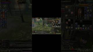 spell güldürmedi ama bedava kahve kaptik 😂 #knightonline #knightonlinefarm #knightonlinesıfırdan