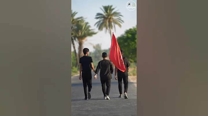 Najaf To Karbala Walk | Arbaeen Walk | Safar E Ishq | Arbaeen | 2024 / 1446H #karbala #iraq #najaf