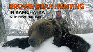Brown Bear hunting in Kamchatka with ProfiHunt 2017
