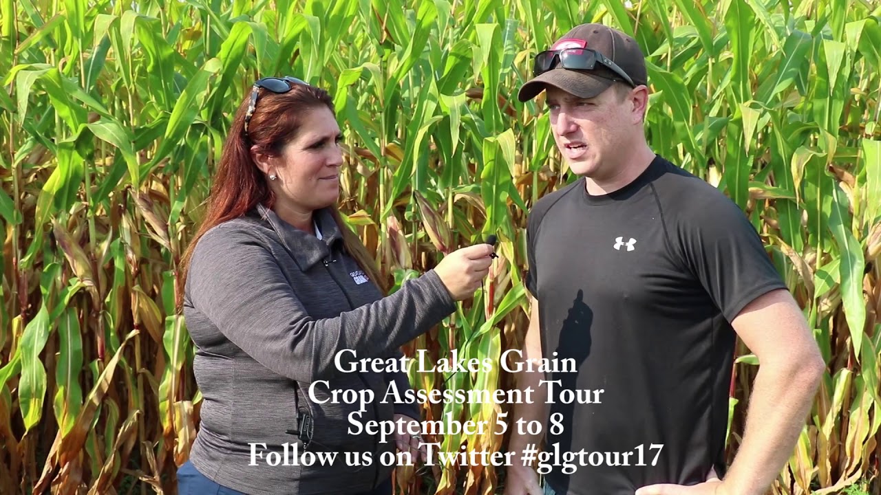 great lakes grain crop tour