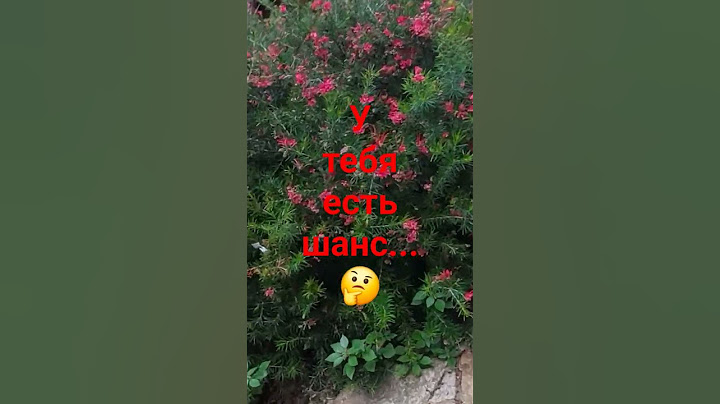 У тебя есть шанс...🤔
