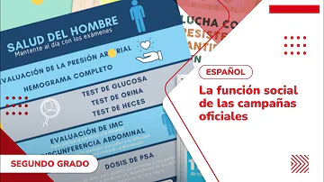 ¿Cuáles son los elementos de las campañas oficiales?