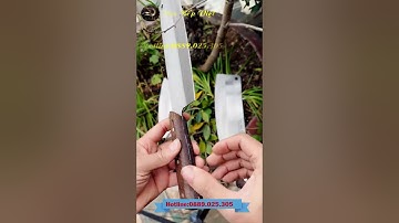 Bộ 3 Dao thép trắng nhật không han rỉ