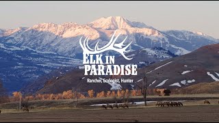 Elk in Paradise: Rancher, Ecologist, Hunter