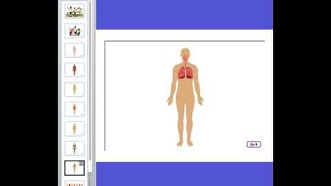 Building Blocks and Systems