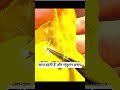 तोते के sar par dikhne wala ye kya hai