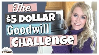 Full 5 Dollar Goodwill CHALLENGE || Home Decor on a Budget Update