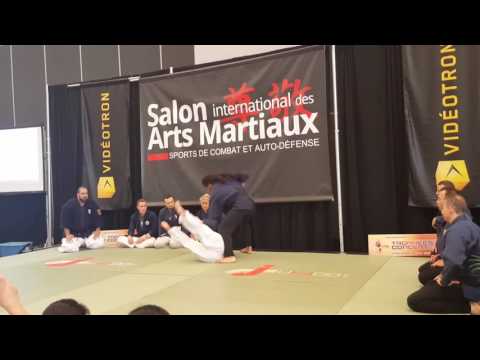 2017 Salon Des Arts Martiaux Nintai Demo