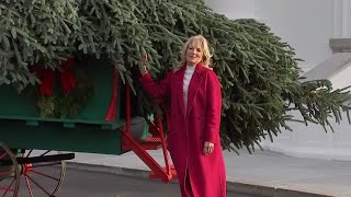 First lady Jill Biden receives White House Christmas tree