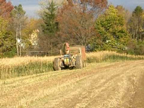 1124 County tractor chopping sorghum 1