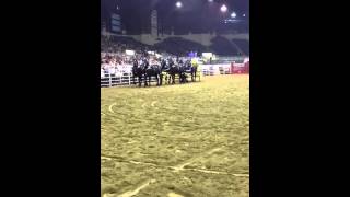 Hoosier horse fair 2012 woodbury