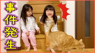 わいわいパジャマパーティしてたら悲劇が＞＜💦ゆうひ姉さん本領発揮🔥！？【暮らしVlog】