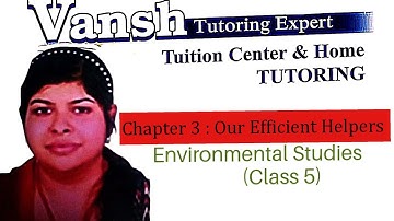 Chapter 3 : Our Efficient Helpers  Environmental Studies  class 5 questions answer with summary