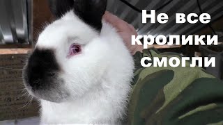 :         