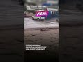 🐶❤️ Rescata a un perrito de una fuerte corriente | #LaRazónViral