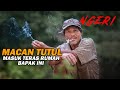 Ngeri‼️ MACAN TUTUL Masuk Teras Rumah Bapak Ini