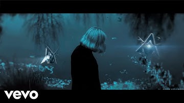 Alan Walker - We
