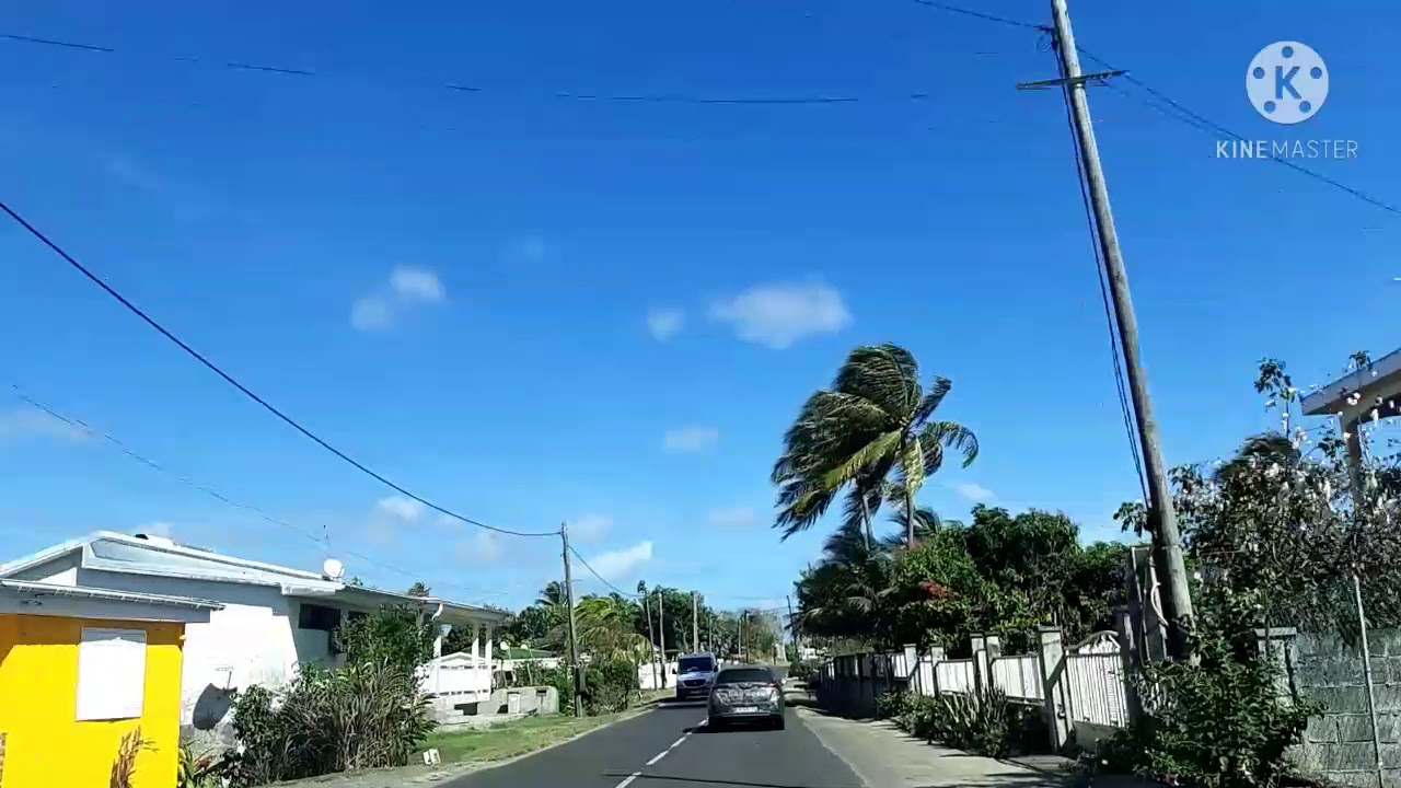 D123 Guadeloupe La Baie (Le Moule), Balin (Petit-Canal)