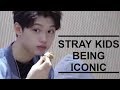 Stray Kids Being Iconic