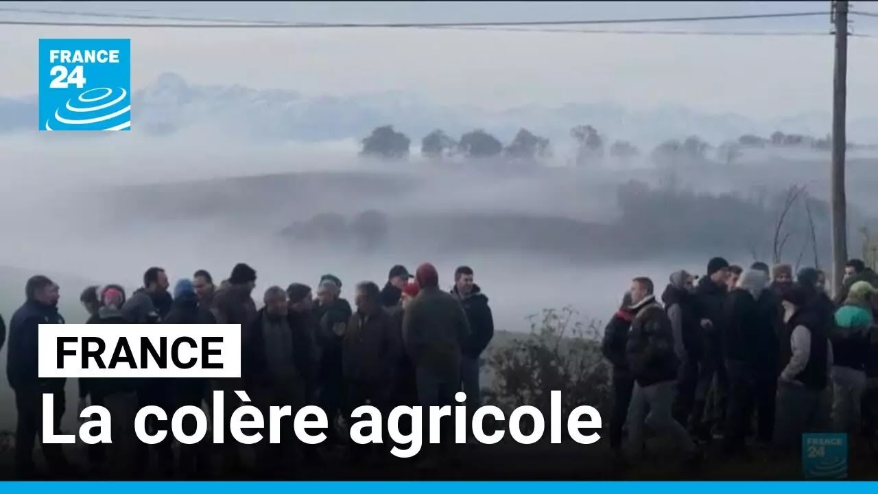 France : la colère agricole face au traitement des cas de dermatose • FRANCE 24