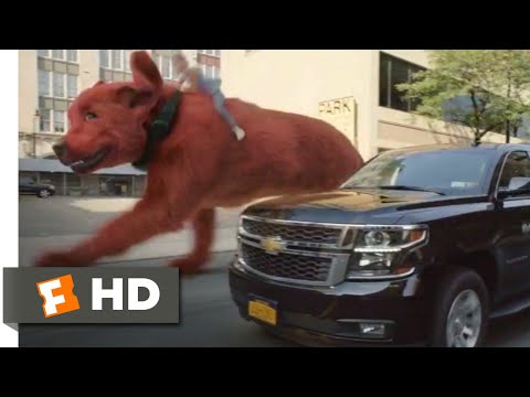 Clifford the Big Red Dog (2021) - Clifford's Car Chase Scene (9/10) | Movieclips