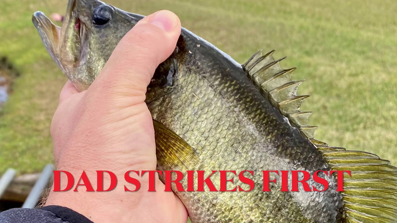 Bass Fishing Hidden Lake in Florida