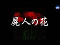 怖い話【屍人の花】 おまけ*心霊写真紹介 実話怪談Ghost Story based on true events(英、日字幕→⚙️「設定」で選択)