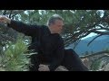 Tai Chi Online Classes Intro by Michael Paler