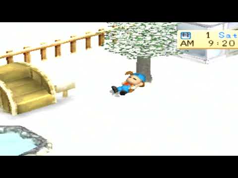 Harvest Moon Store Hours
