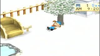 Harvest Moon Back to Nature, Winter Theme Song - 1 Hour