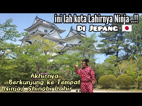 Video: Tempat Melihat Tempat Wisata Ninja di Jepang