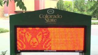 TimesCast - September 2, 2010