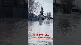 паводок 2024 год затопило хромзавод #петропавловск #потоп #наводнение #паводок #дамба #подтопление