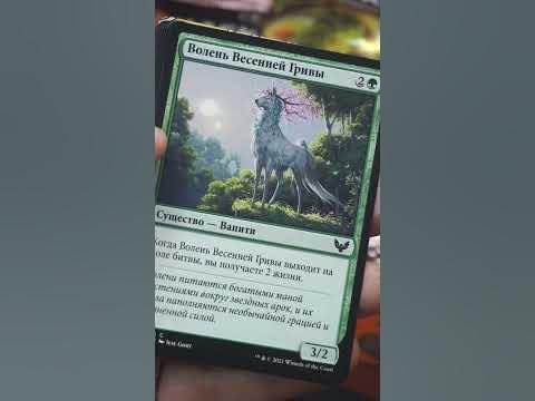 Стриксхейвен | Strixhaven #коллекционирование #кки #magicthegathering # ...