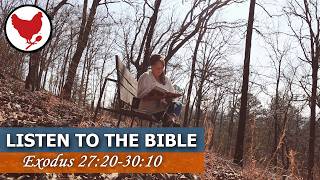 Listening To the Bible | Peaceful Scripture Reading