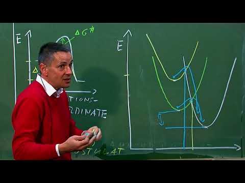 Säure- und Basenkatalyse - ChemieKolleg Grundlagen Organische Chemie  Prof. König, Uni Regensburg