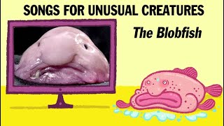 Weird & Wonderful Creatures: The Blobfish  American Association for the  Advancement of Science (AAAS)