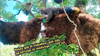 Download Lagu Madunya Super-super yg bikin ember bergetar... MP3 Download Lagu Madunya Super-super yg bikin ember bergetar... MP3