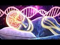 432Hz 528H 741Hz 963Hz The DEEPEST Healing Sleep Whole Body Regeneration, Relieve Stress