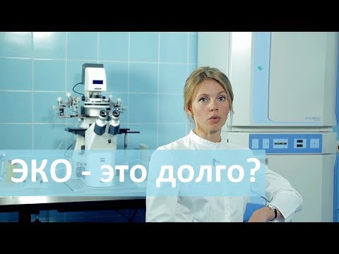 Сколько времени требуется для ЭКО. Лечебный Центр о сроках ЭКО.