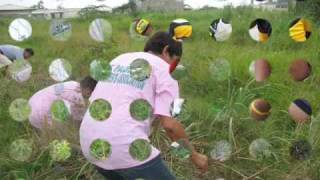 Aagapay Tree Planting