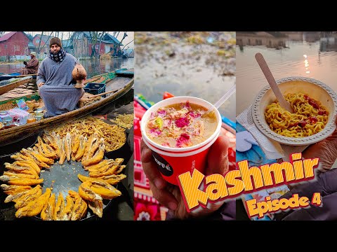 Video: På Dal Lake Kashmir?