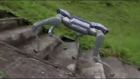 🤖 Unitree Introduces Unitree A2 Stellar Hunter