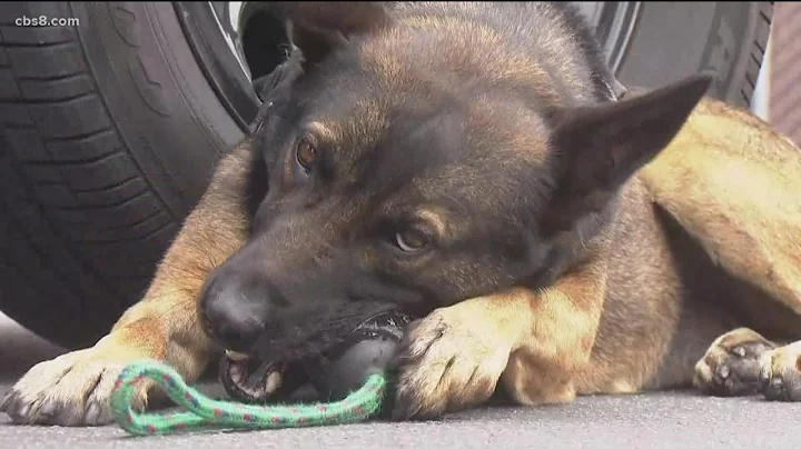 What does San Diego Harbor Police's new K-9 facili...