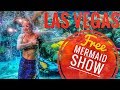 Mermaid Show Las Vegas - Silverton Casino and Hotel - YouTube