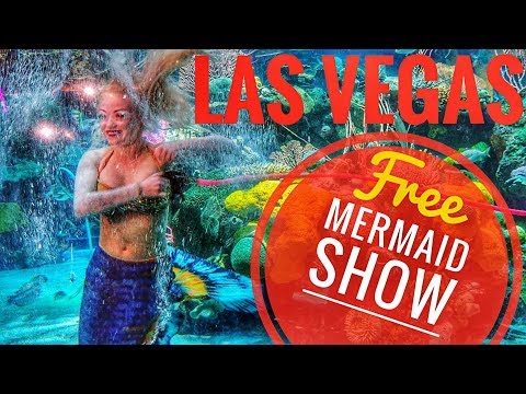 Video: De beste showene i Las Vegas