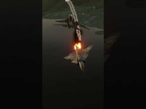 F-14B Tomcat snapshot | DCS | Dogfight | Digital Combat Simulator #dogfight #dcs #dcsworld #f14