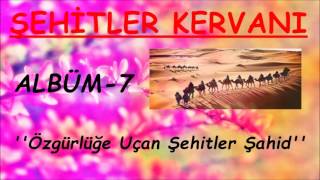 ŞEHİTLER KERVANI  |  Özgürlüğe Uçan Şehitler Şahid Resimi